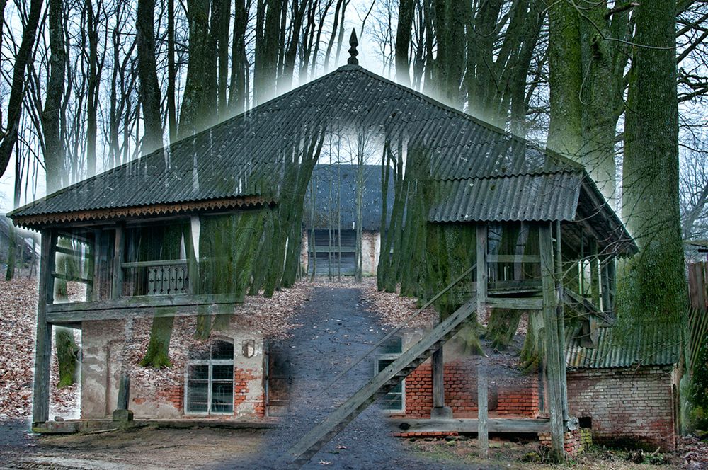 Фотография автора Андрей Янковский