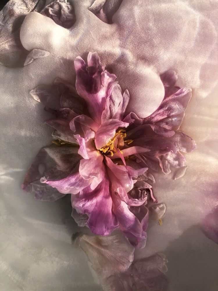 Photograph by Юлия Отставнова