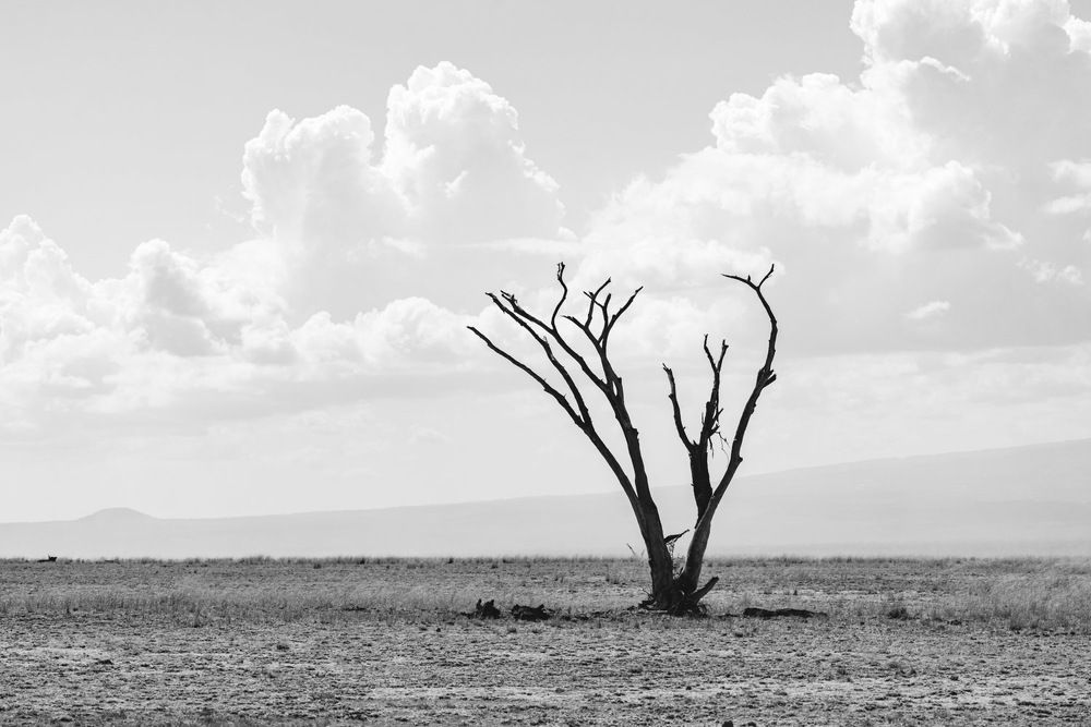 Photograph by Ewa Jermakowicz