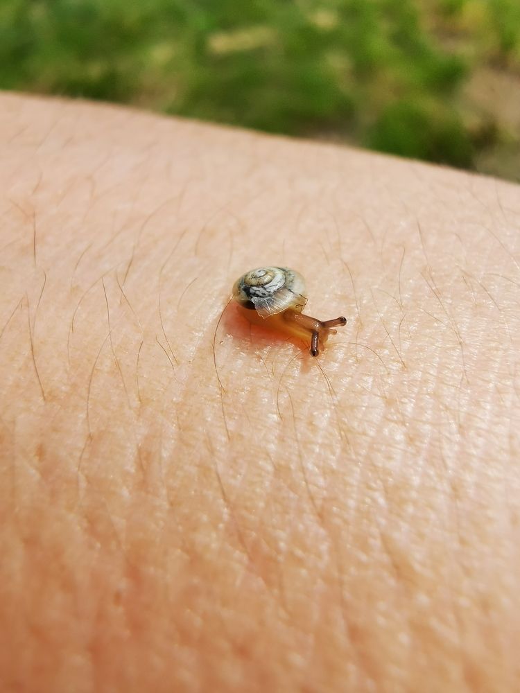 Photograph by Lilsssi