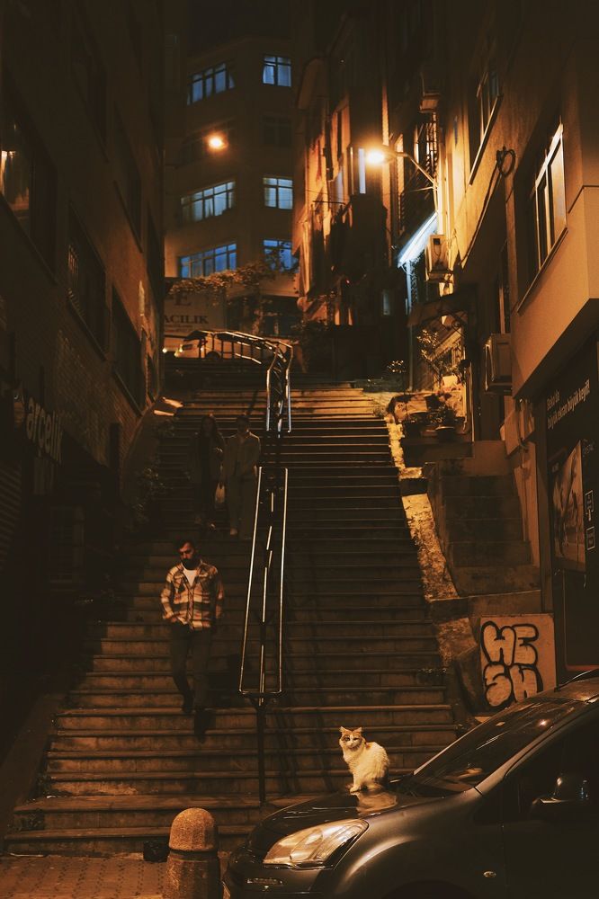 Photograph by Аида Фай