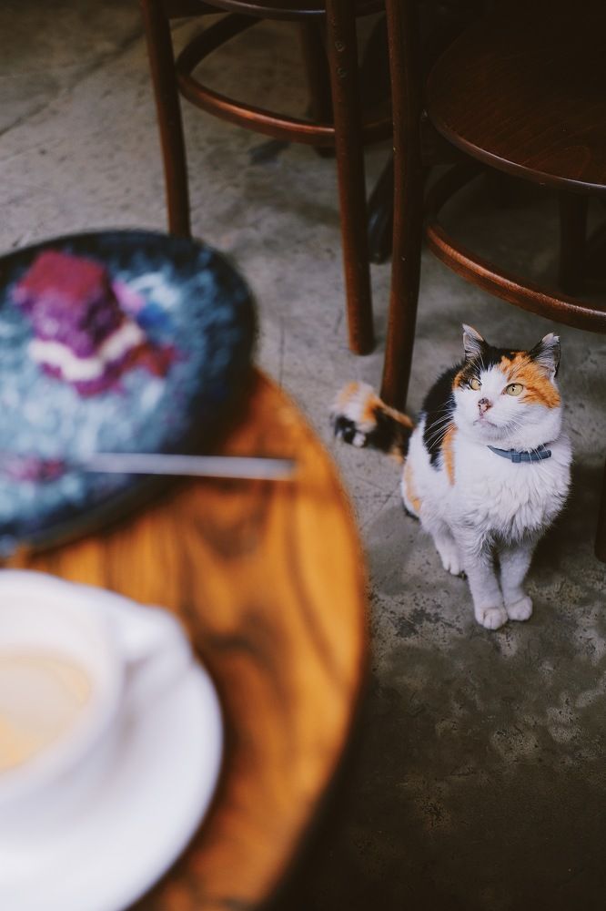 Photograph by Аида Фай