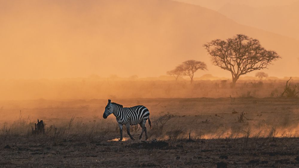 Photograph by Ewa Jermakowicz