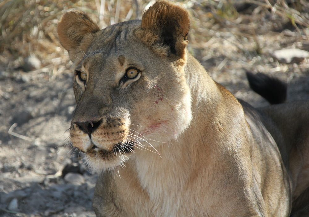 Photograph by Максим Никитин