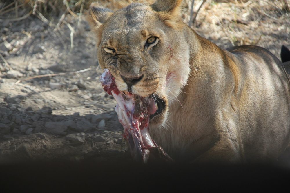 Photograph by Максим Никитин