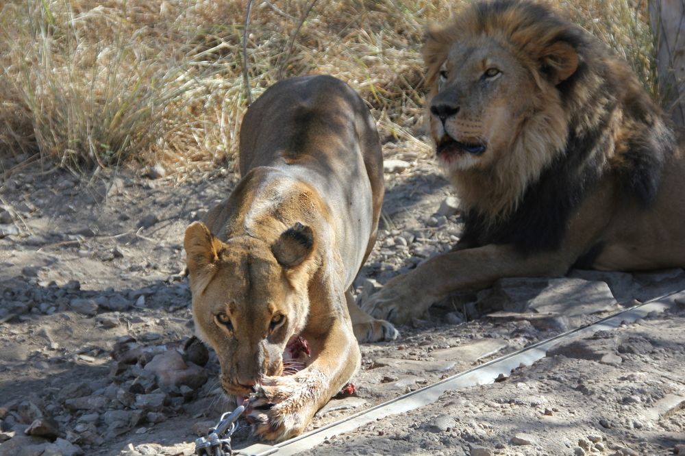 Photograph by Максим Никитин