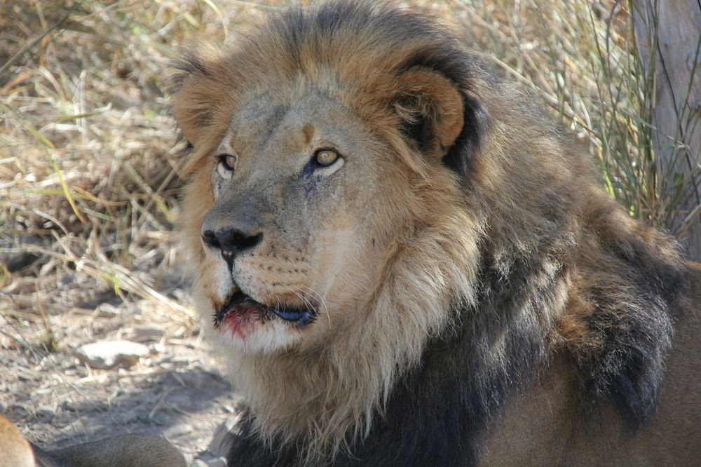 Photograph by Максим Никитин