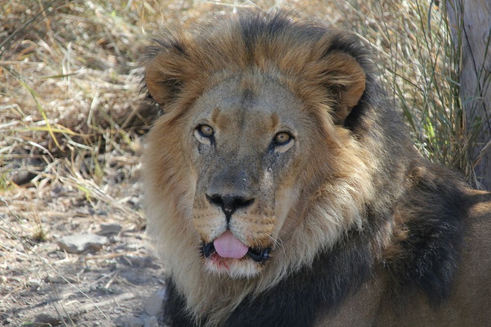 Photograph by Максим Никитин