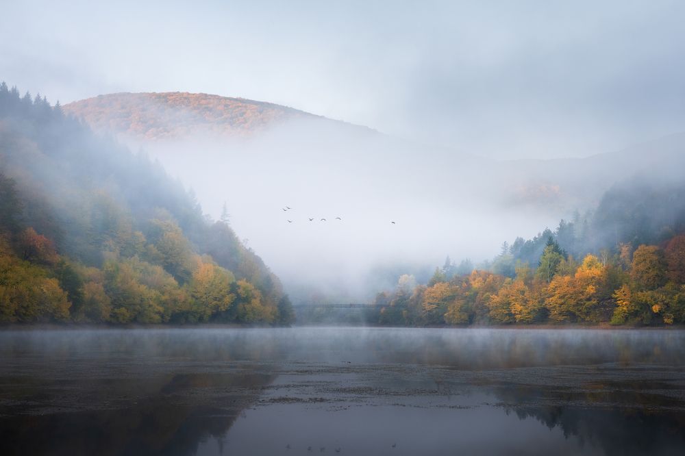 Photograph by Boyko Valchev