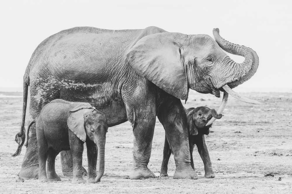 Photograph by Ewa Jermakowicz