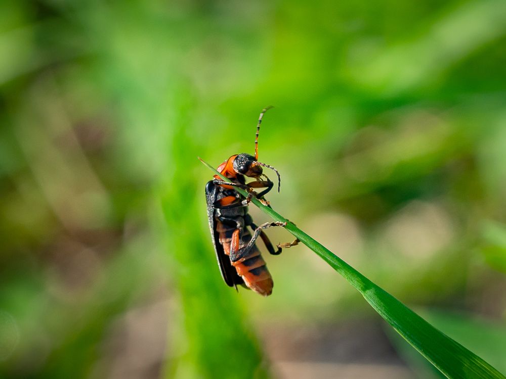 Photograph by Sergey