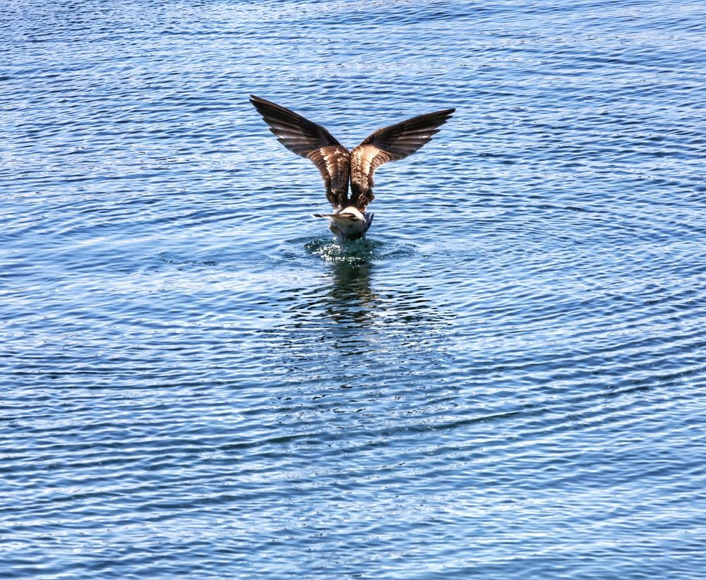 Photograph by ismail alper senova