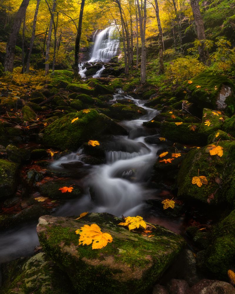 Photograph by Boyko Valchev