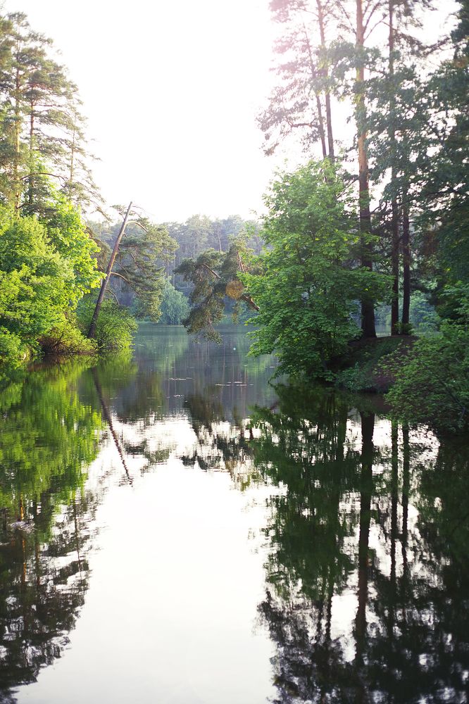 Photograph by Александр Замятин