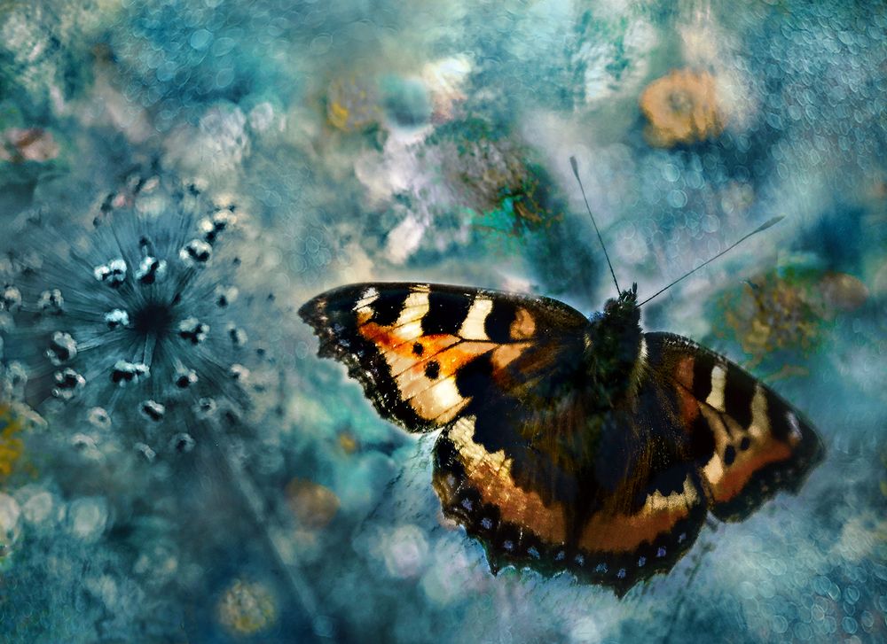 Уходило лето...