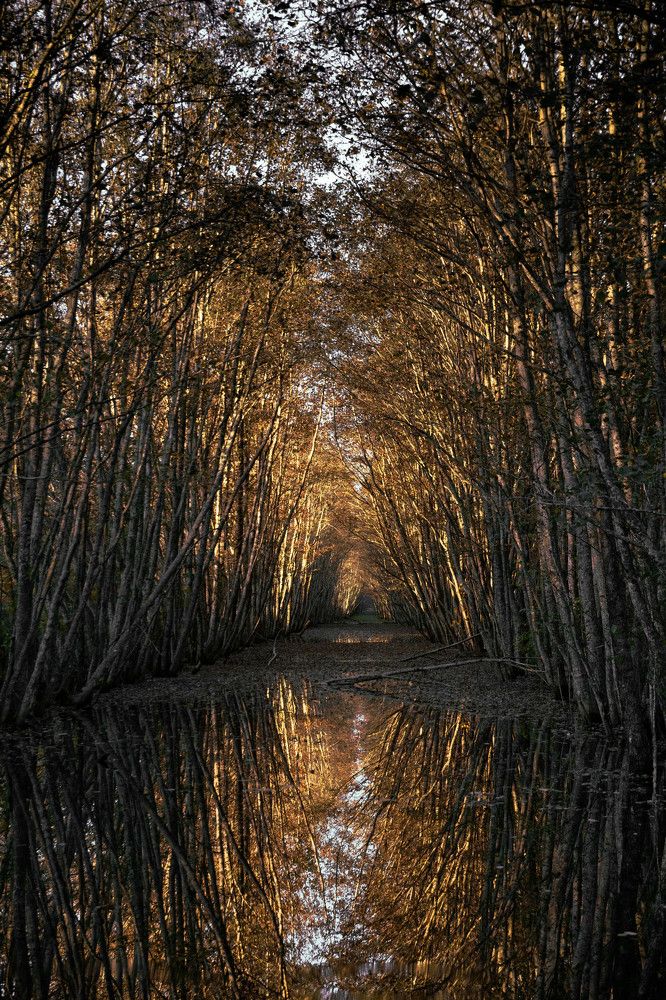 Photograph by Katya Slavich