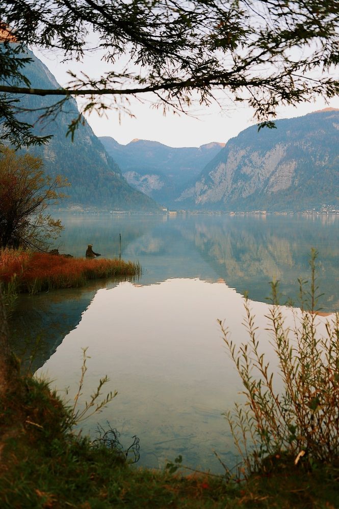 Photograph by Аида Фай