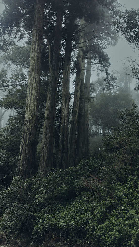 Photograph by Авсеенкова Наталья