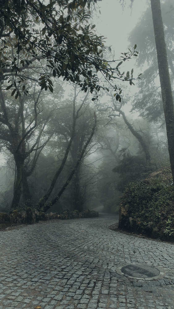 Photograph by Авсеенкова Наталья