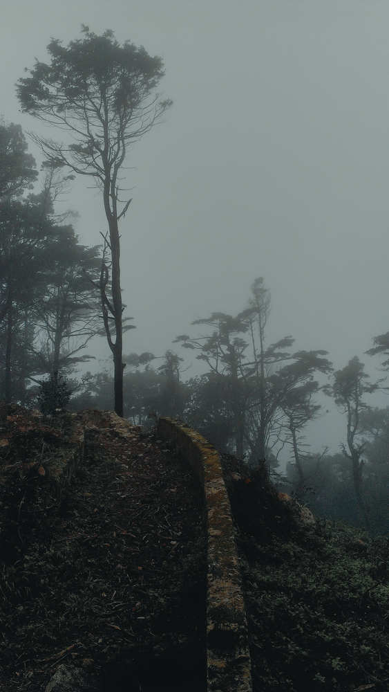 Photograph by Авсеенкова Наталья