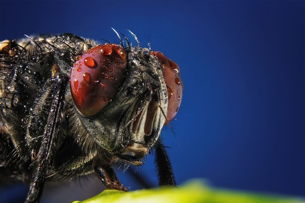 Photograph by Raúl Navarro González