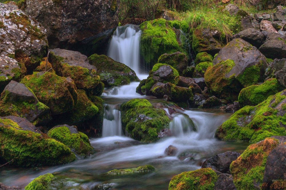 Photograph by Леонид Дьяченко