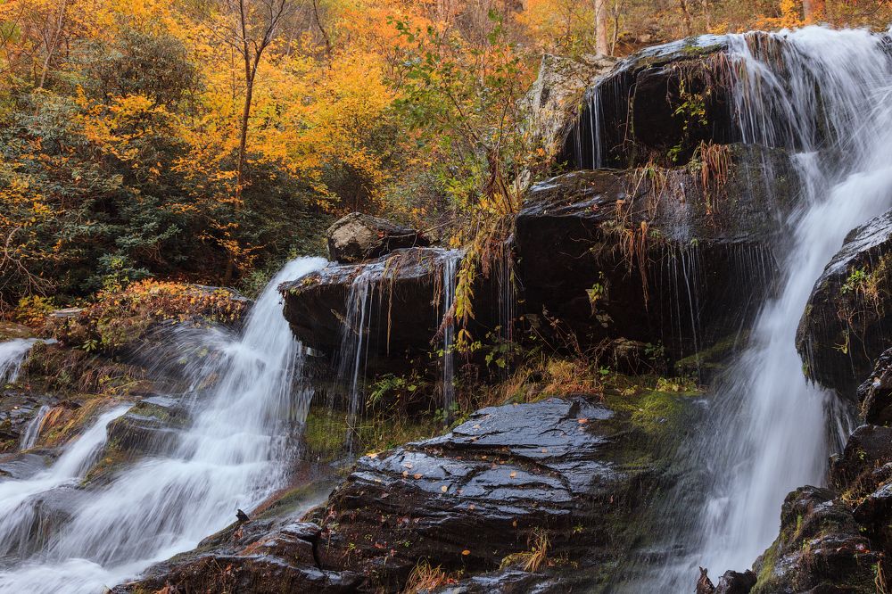 Photograph by Леонид Дьяченко