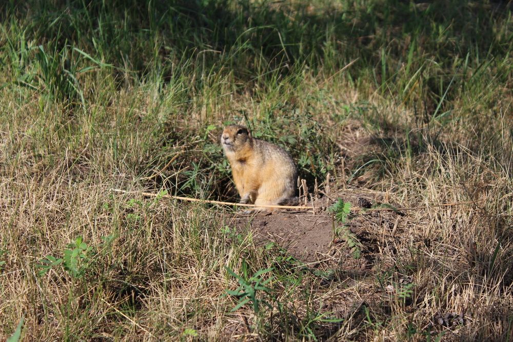 Photograph by Переверзева Татьяна