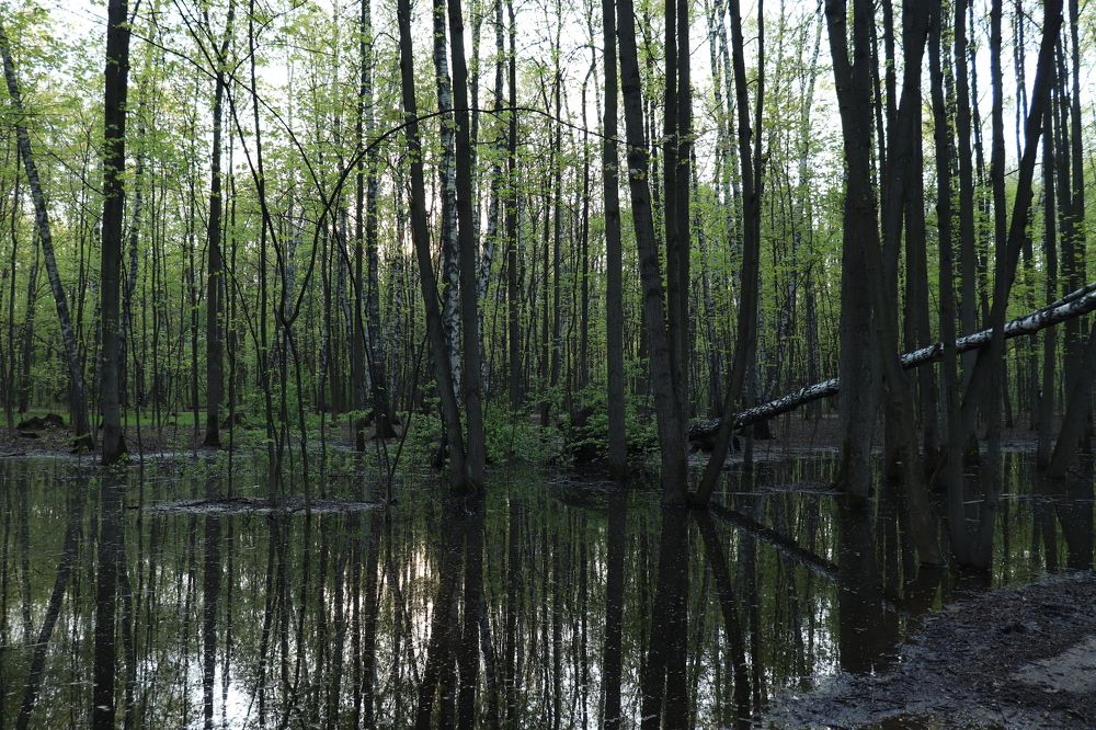 Photograph by Ксения