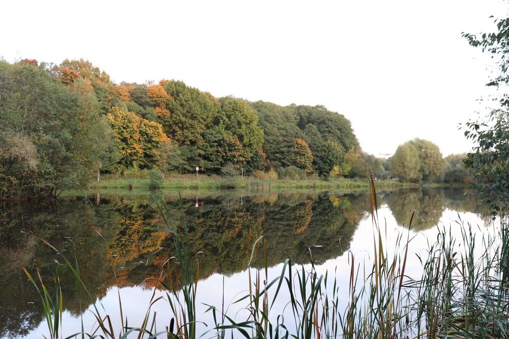 Photograph by Ксения