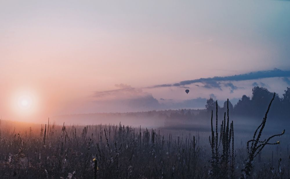 Photograph by Hanna Zapylaieva