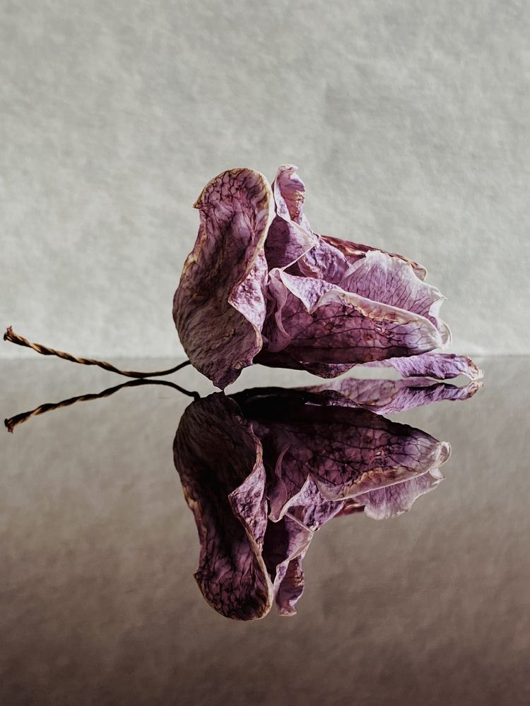 Photograph by Yuliya Trints