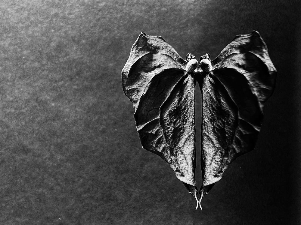 Photograph by Yuliya Trints