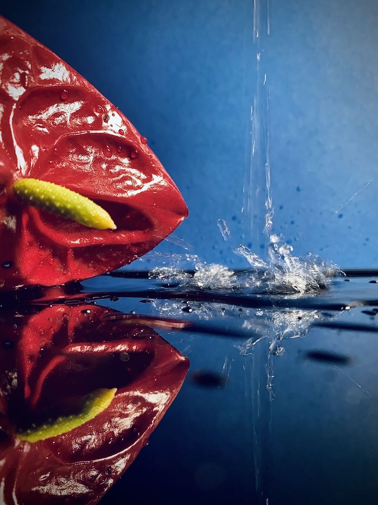 Photograph by Yuliya Trints