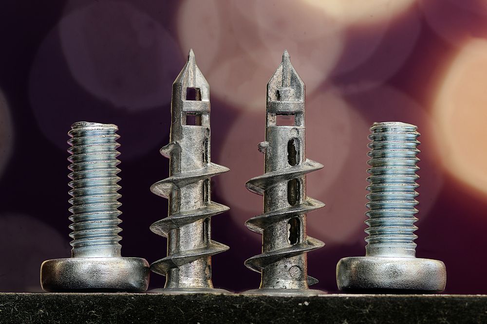 Photograph by Rui Santos