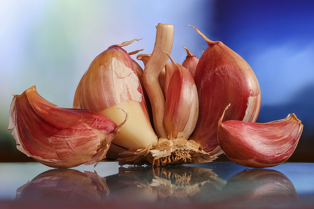 Photograph by Rui Santos