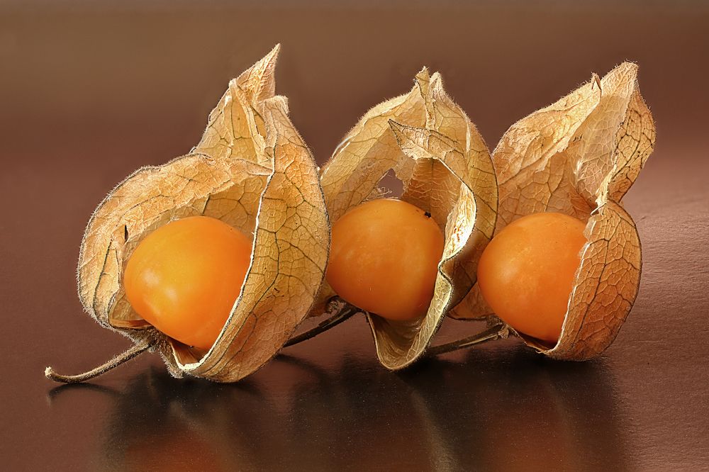 Photograph by Rui Santos