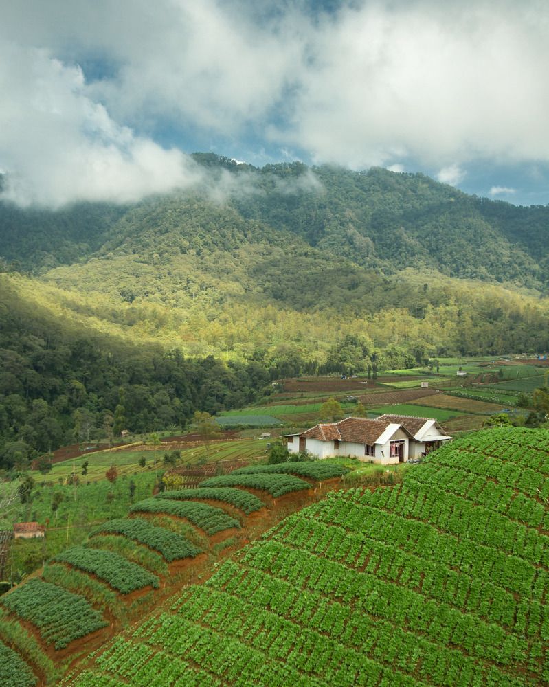 Photograph by abdul taufik