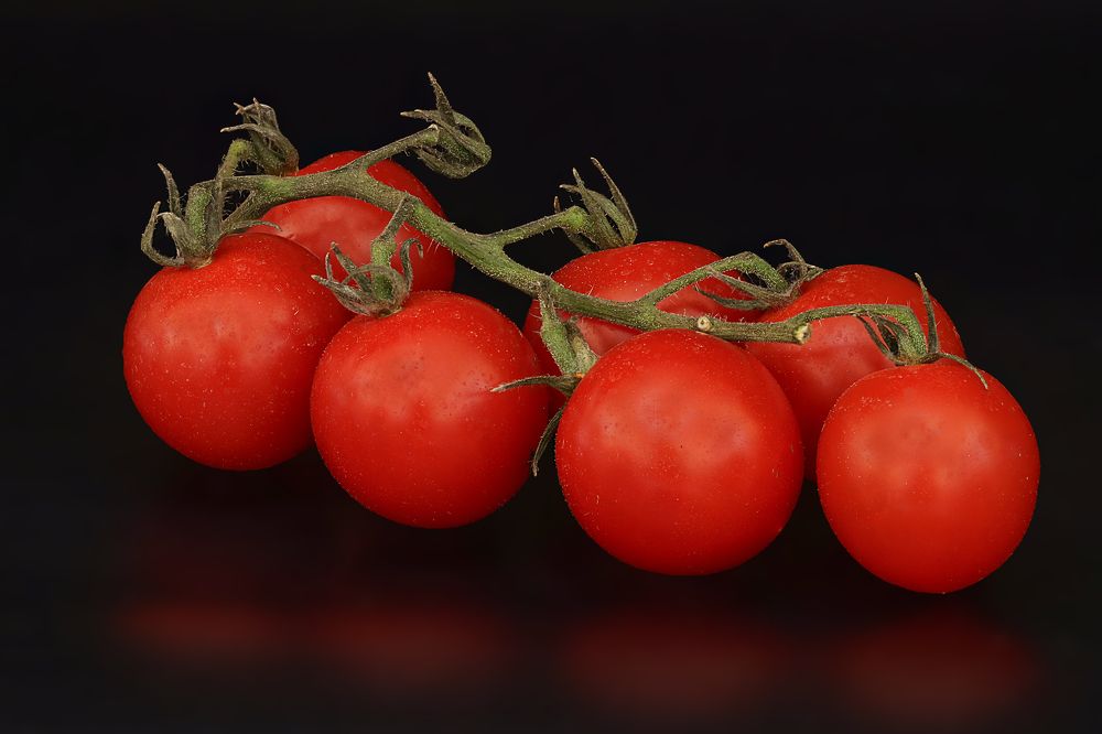 Photograph by Rui Santos