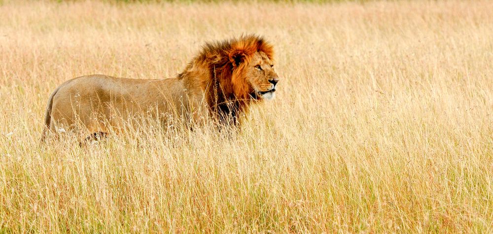 Photograph by Ricardo Ubico