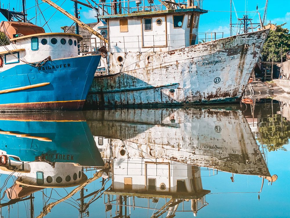 Фотография автора Regina Sant Anna