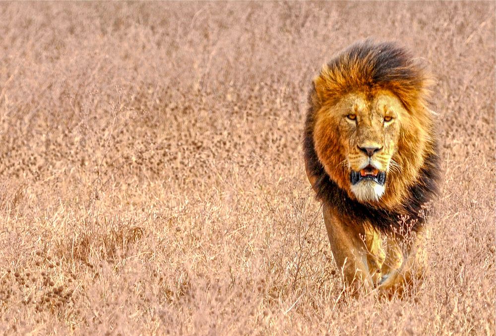 Photograph by Ricardo Ubico