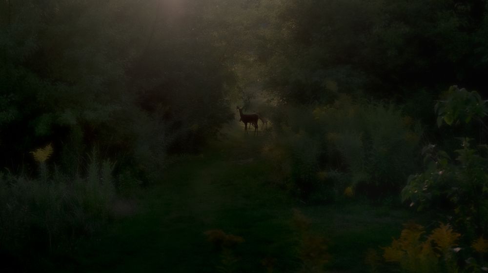 Фотография автора Sergei Rukavitsyn