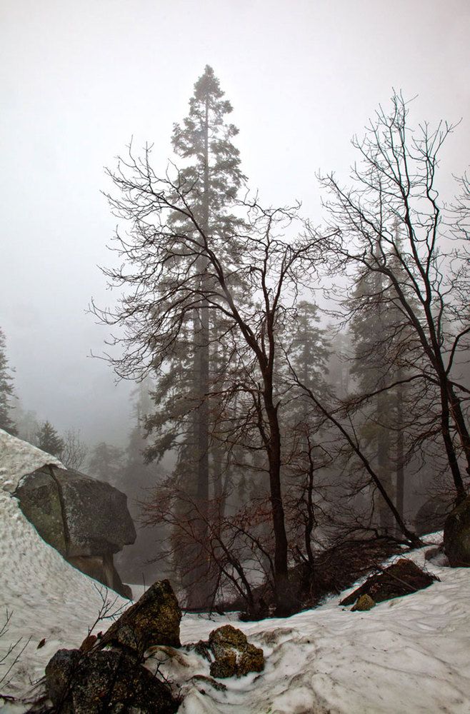 Фотография автора andrey gagarin