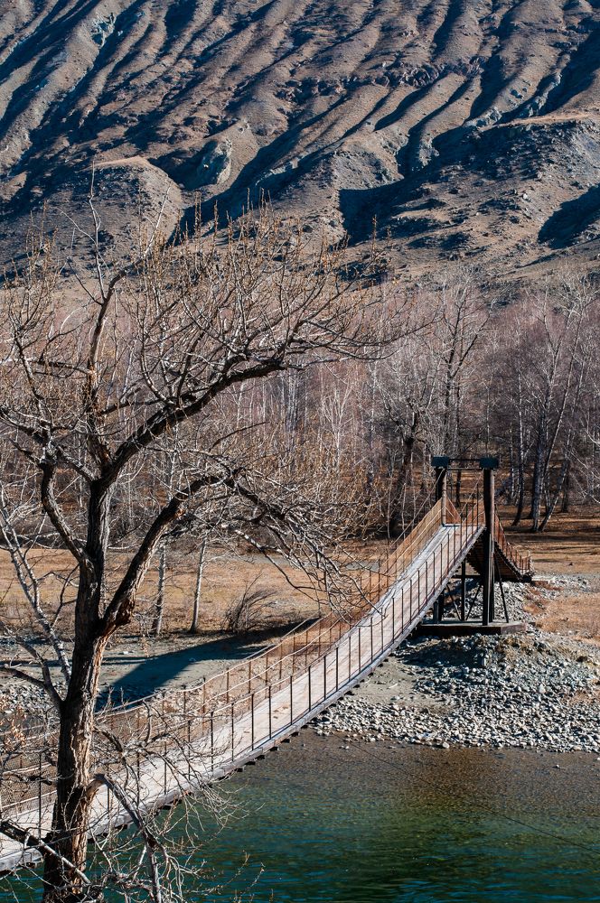 Photograph by Ирина Шерина