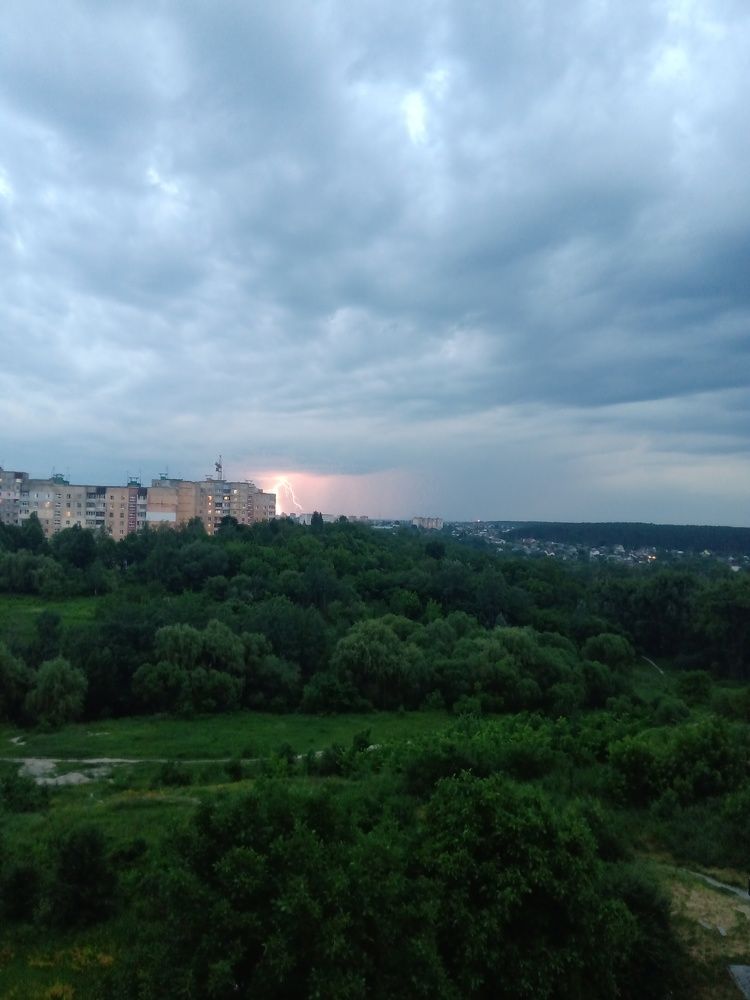 Photo #6832860