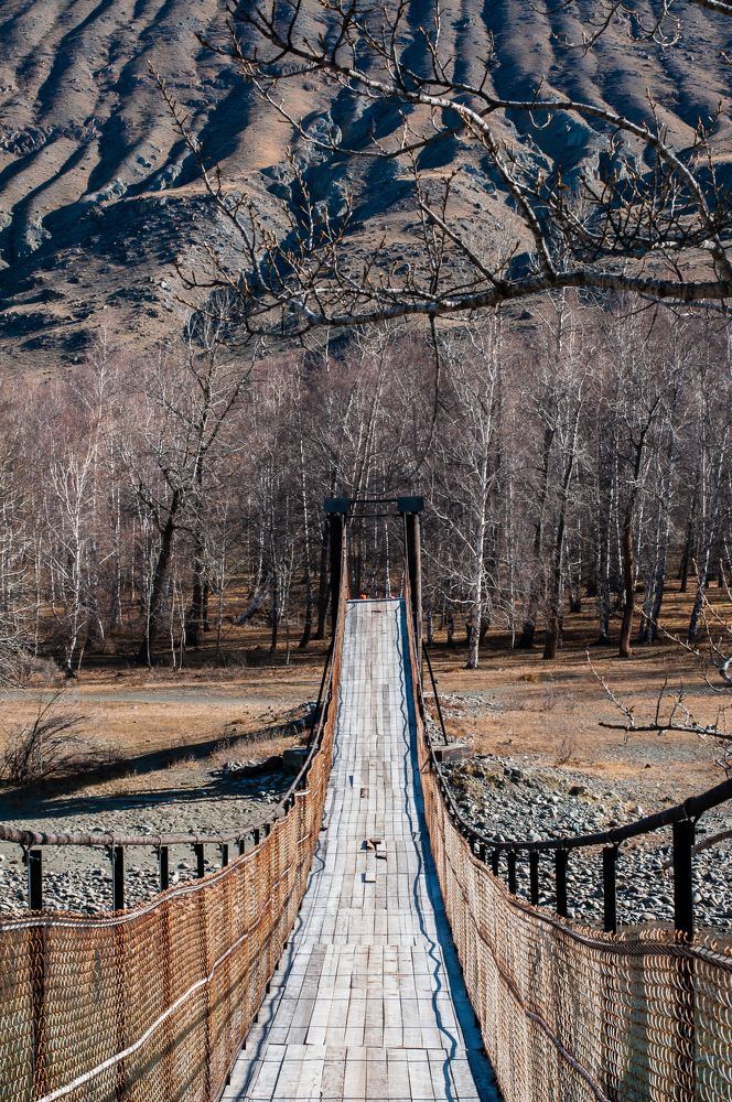 Photograph by Ирина Шерина