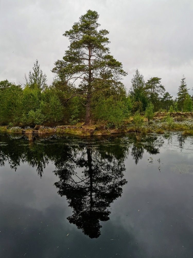 Photograph by Михаил Жарский