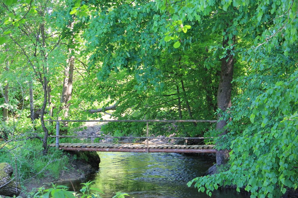 Photograph by Анна-Лаймуте Милошевич