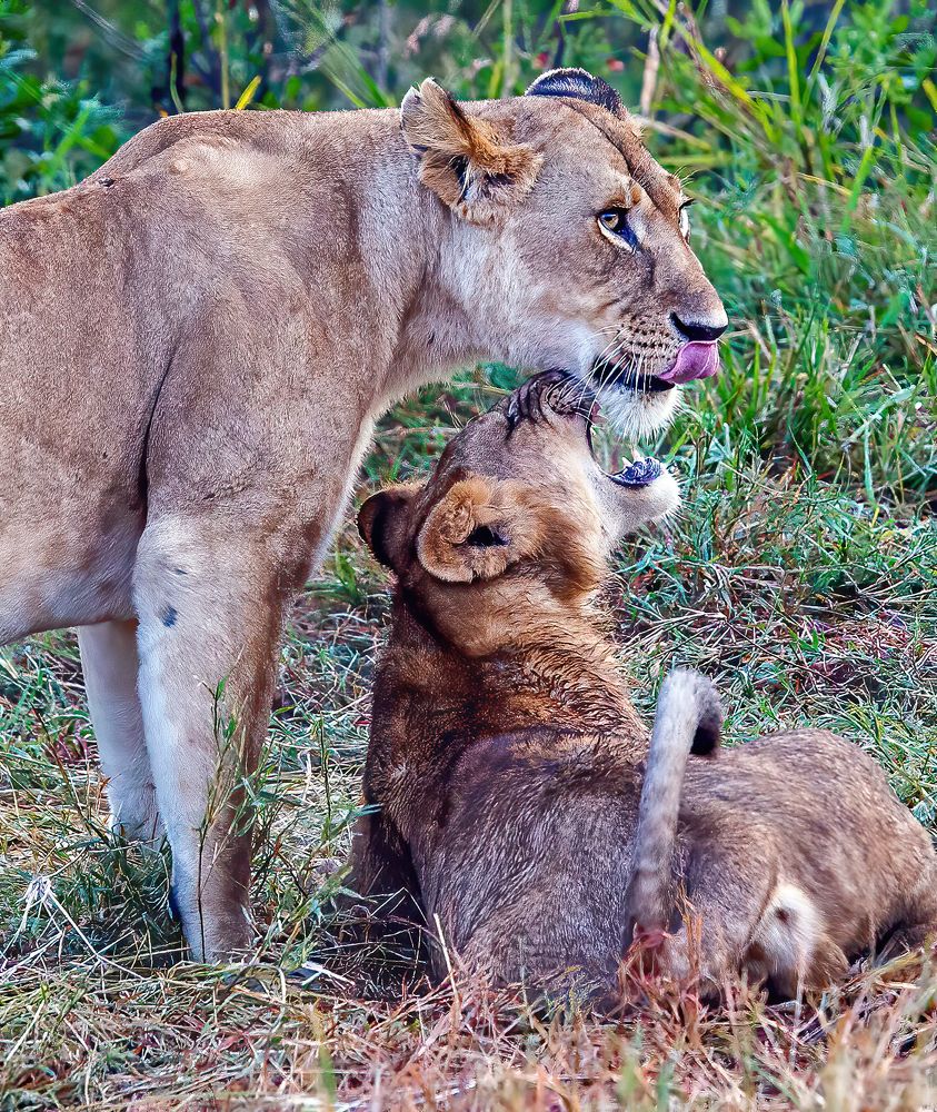 Фотография автора Sajeev Krishnan